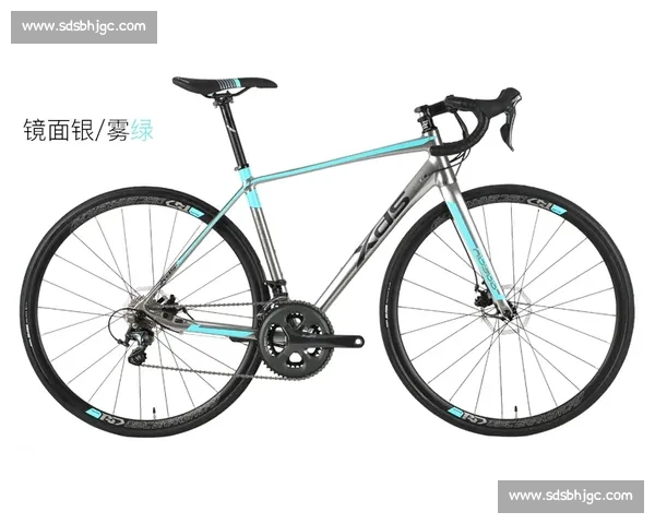 从零开始的公路车入门全指南选车训练与骑行提升路线安全与装备建议